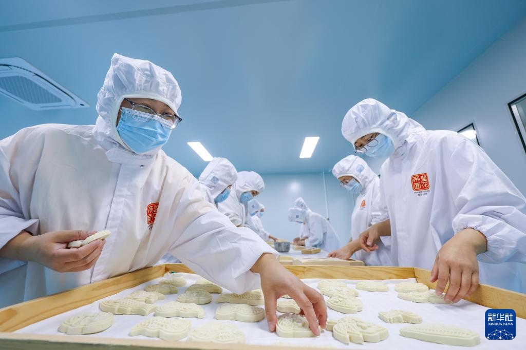 昔日碱嘎巴,如今金疙瘩——沧州旱碱麦迎来收获期 昔日碱嘎巴,如今金疙瘩——沧州旱碱麦迎来收获期