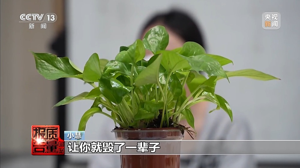 每周质量报告丨果味电子烟换上“新马甲”在私域流通 总台记者最新调查 每周质量报告丨果味电子烟换上“新马甲”在私域流通 总台记者最新调查