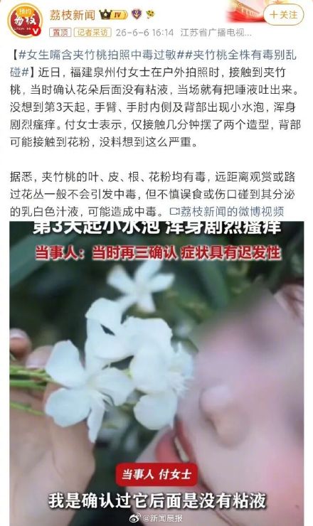 有毒,有毒,有毒!最近夹竹桃到处可见,千万别碰它 有毒,有毒,有毒!最近夹竹桃到处可见,千万别碰它