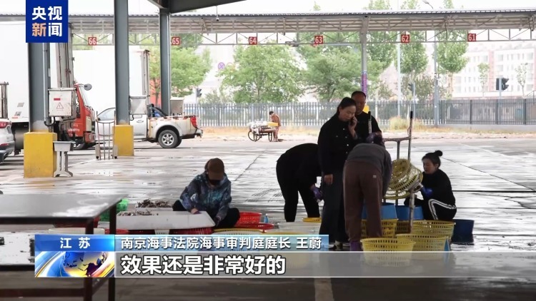 海洋受损怎么赔?蓝碳交易解锁护海新方式 海洋受损怎么赔?蓝碳交易解锁护海新方式