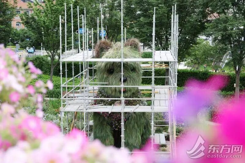 上海“潦草小狗”开启夏季换装,下周继续“营业”!还有新惊喜→ 上海“潦草小狗”开启夏季换装,下周继续“营业”!还有新惊喜→