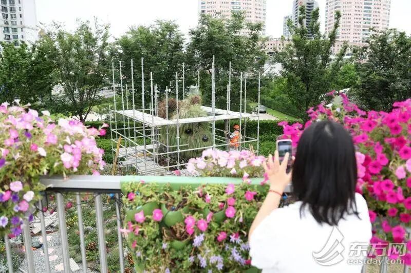 上海“潦草小狗”开启夏季换装,下周继续“营业”!还有新惊喜→ 上海“潦草小狗”开启夏季换装,下周继续“营业”!还有新惊喜→
