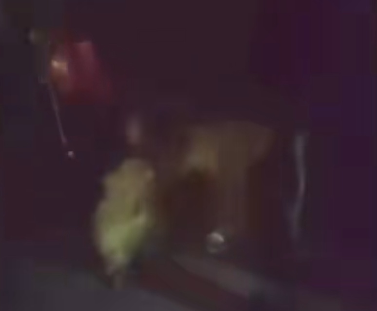 臭到令人作呕!母女租120m²房子养十几只流浪狗,房东崩溃:几百万的房被糟蹋了…… 臭到令人作呕!母女租120m²房子养十几只流浪狗,房东崩溃:几百万的房被糟蹋了……