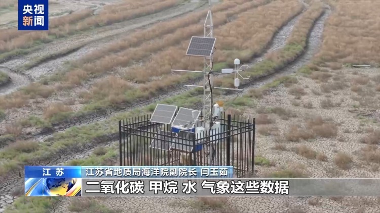 海洋受损怎么赔?蓝碳交易解锁护海新方式 海洋受损怎么赔?蓝碳交易解锁护海新方式