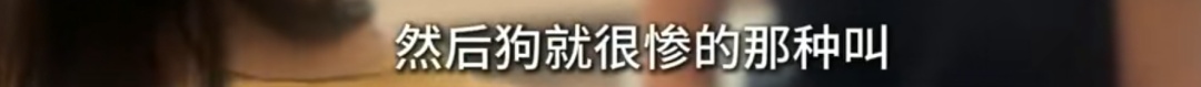 臭气熏天!母女租大户型养十几只流浪狗,到处是捡来的废品 臭气熏天!母女租大户型养十几只流浪狗,到处是捡来的废品
