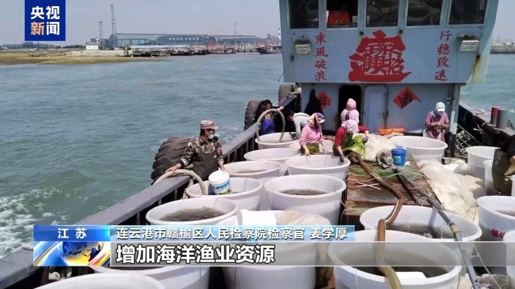 海洋受损怎么赔?蓝碳交易解锁护海新方式 海洋受损怎么赔?蓝碳交易解锁护海新方式