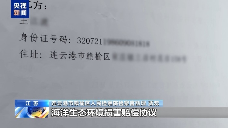 海洋受损怎么赔?蓝碳交易解锁护海新方式 海洋受损怎么赔?蓝碳交易解锁护海新方式