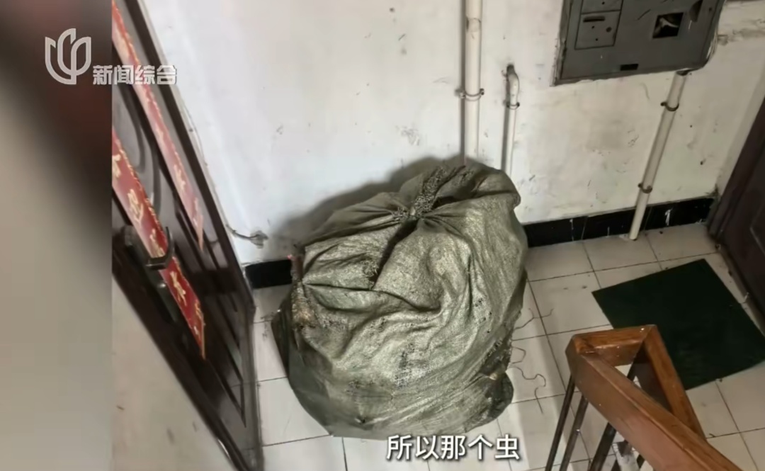 臭到令人作呕!母女租120m²房子养十几只流浪狗,房东崩溃:几百万的房被糟蹋了…… 臭到令人作呕!母女租120m²房子养十几只流浪狗,房东崩溃:几百万的房被糟蹋了……