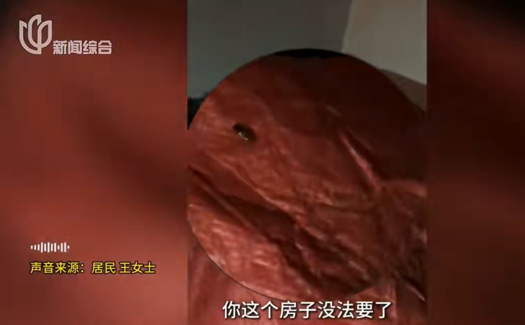 臭到令人作呕!母女租120m²房子养十几只流浪狗,房东崩溃:几百万的房被糟蹋了…… 臭到令人作呕!母女租120m²房子养十几只流浪狗,房东崩溃:几百万的房被糟蹋了……