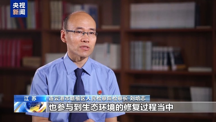 海洋受损怎么赔?蓝碳交易解锁护海新方式 海洋受损怎么赔?蓝碳交易解锁护海新方式
