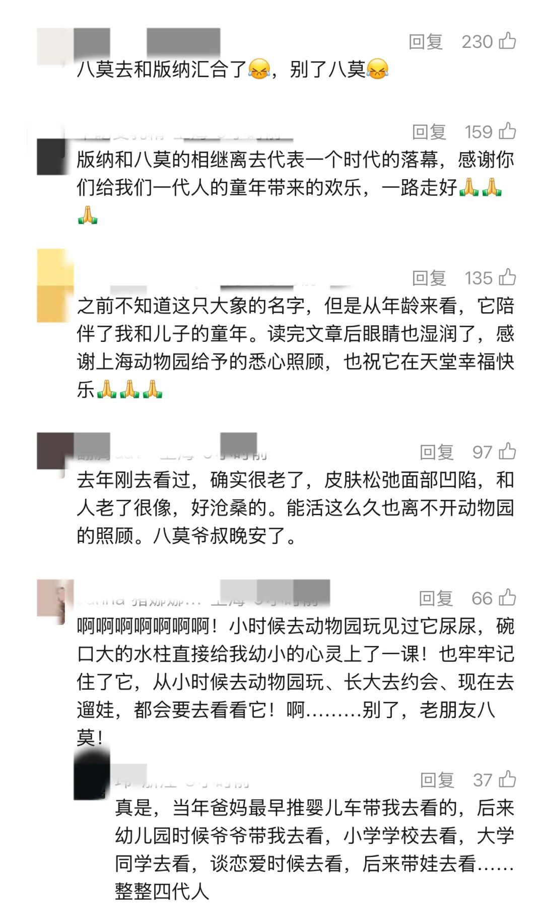 上海动物园65岁亚洲象离世：他与城市温柔相守半世纪，网友：三代人美好回忆