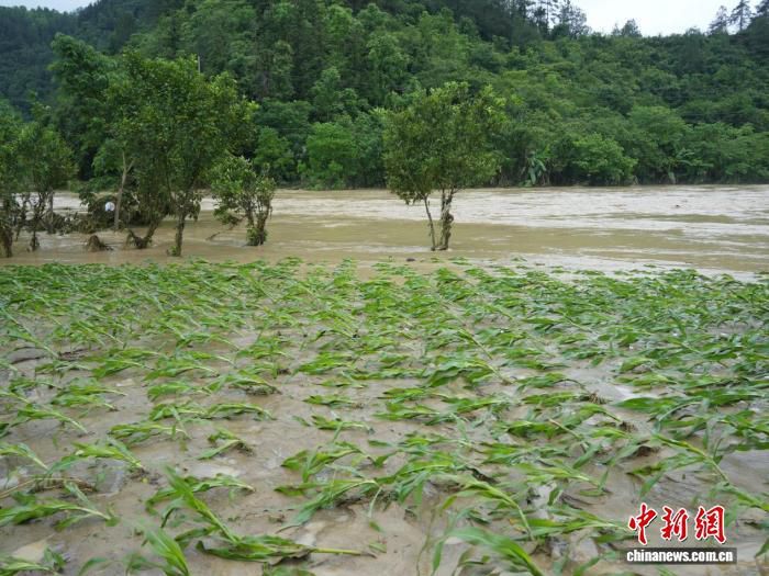 贵州多地遭受特大暴雨 已紧急转移上万人 贵州多地遭受特大暴雨 已紧急转移上万人