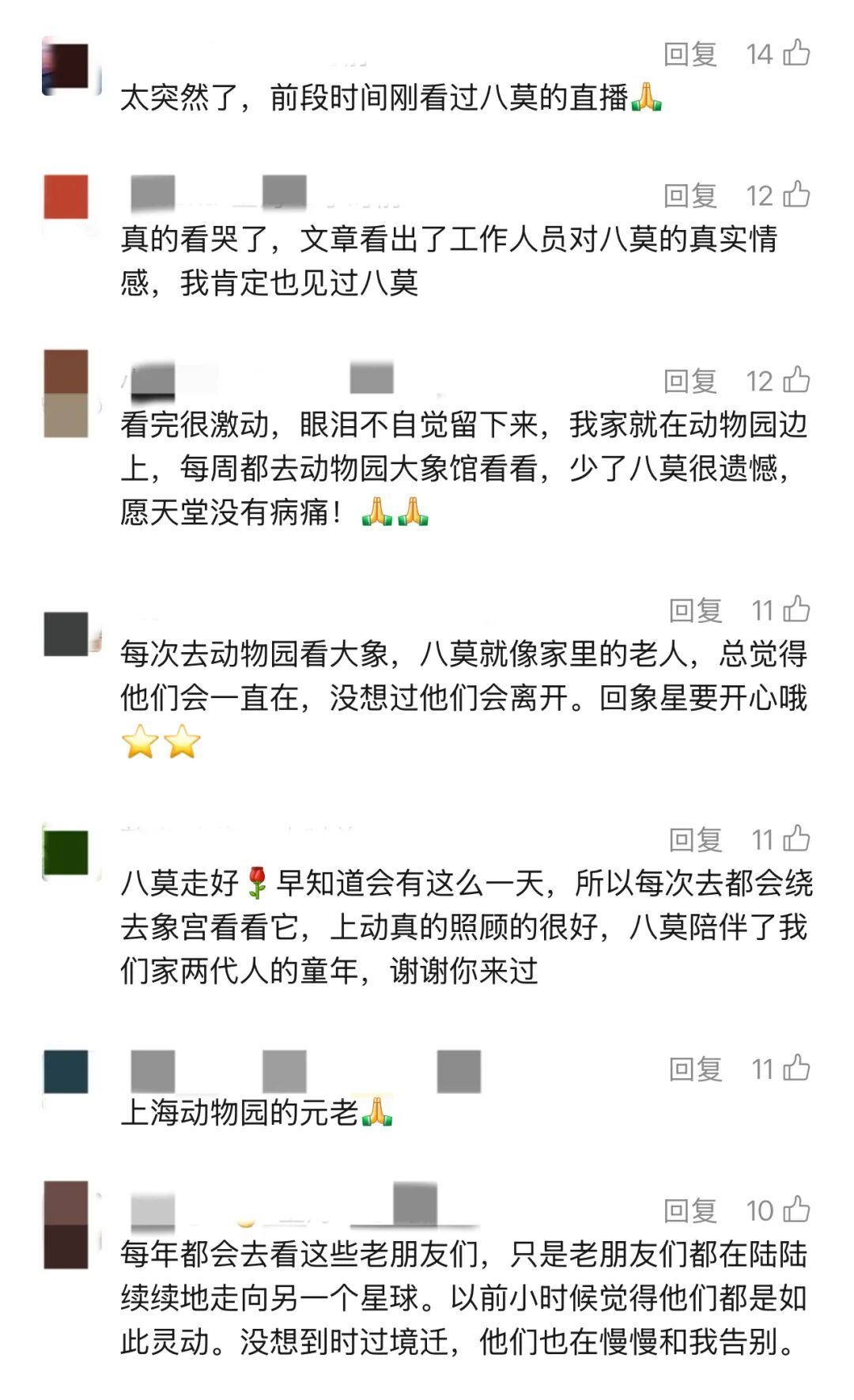 上海动物园65岁亚洲象离世：他与城市温柔相守半世纪，网友：三代人美好回忆