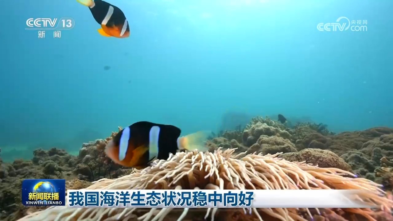 我国海洋生态状况稳中向好 我国海洋生态状况稳中向好