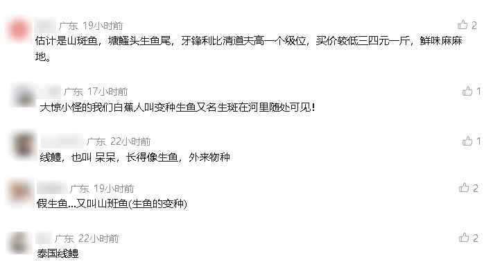 珠海一男子钓获凶猛“巨物”,能吞食蛙、蛇!重要提醒! 珠海一男子钓获凶猛“巨物”,能吞食蛙、蛇!重要提醒!