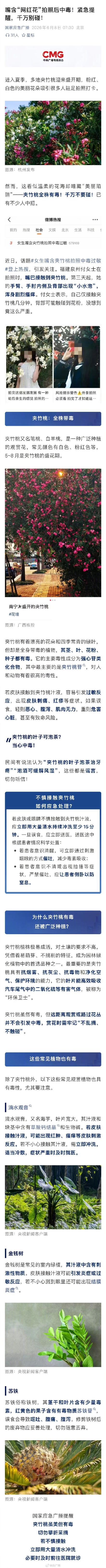 嘴含网红花拍照后中毒