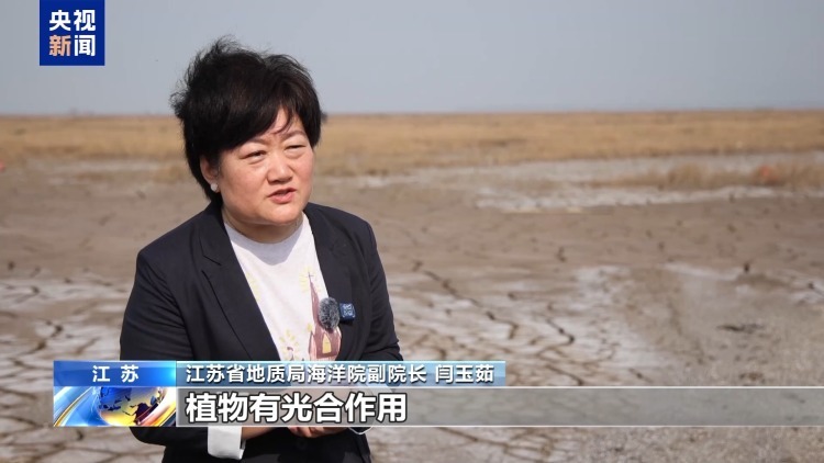 海洋受损怎么赔?蓝碳交易解锁护海新方式 海洋受损怎么赔?蓝碳交易解锁护海新方式
