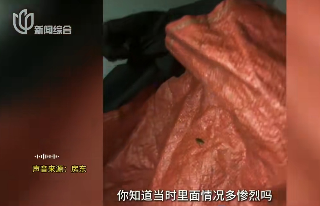 臭气熏天!母女租大户型养十几只流浪狗,到处是捡来的废品 臭气熏天!母女租大户型养十几只流浪狗,到处是捡来的废品