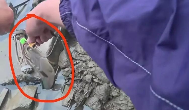珠海一男子钓获凶猛“巨物”,能吞食蛙、蛇!重要提醒! 珠海一男子钓获凶猛“巨物”,能吞食蛙、蛇!重要提醒!