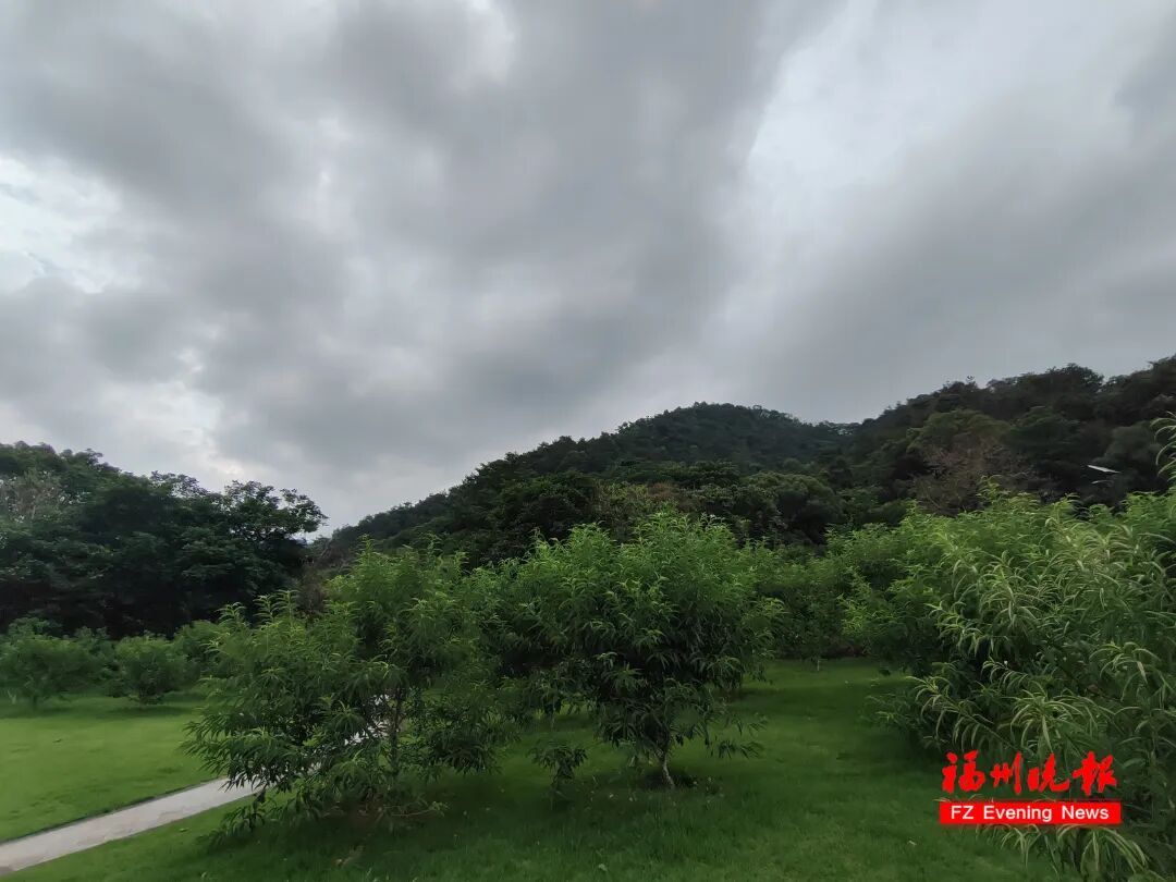福建暴雨预警升级！省防指启动防汛应急响应