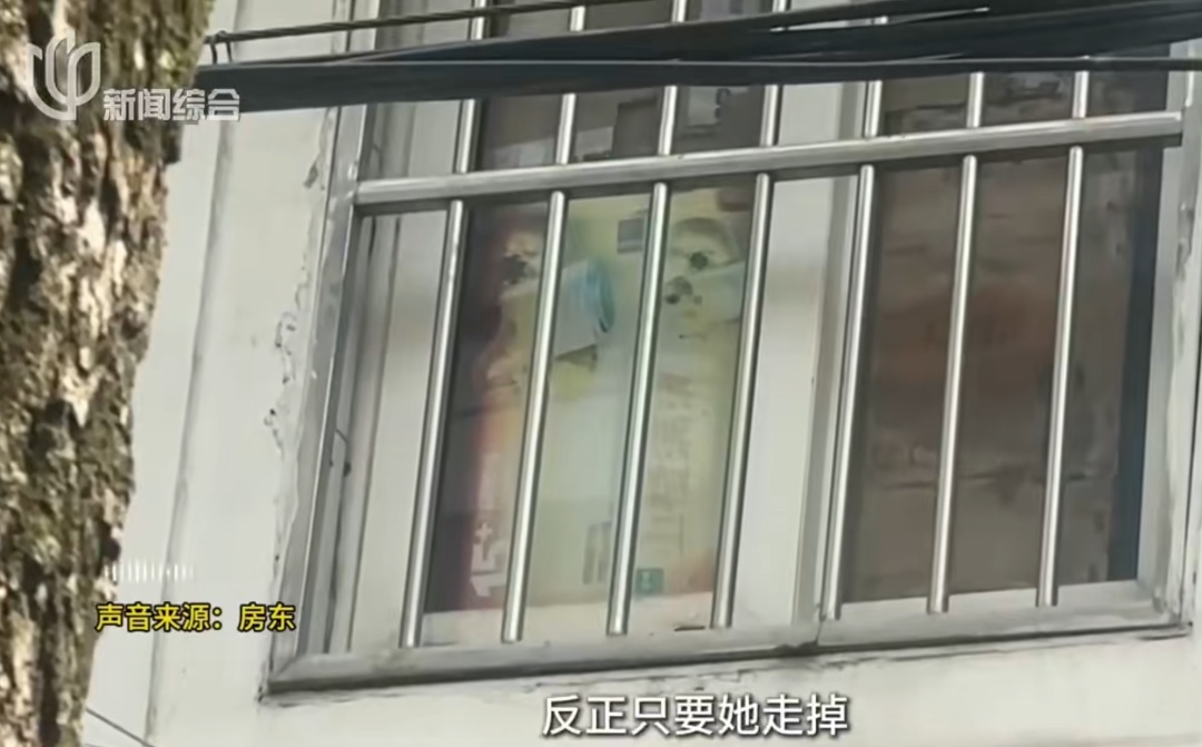 臭气熏天!母女租大户型养十几只流浪狗,到处是捡来的废品 臭气熏天!母女租大户型养十几只流浪狗,到处是捡来的废品