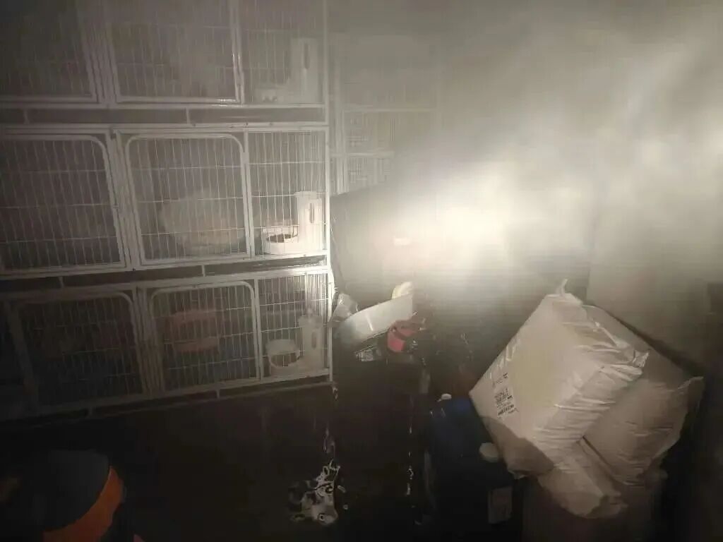 女子为排查酒店针孔摄像头,购买热成像仪,没想到在家救了自己一命 女子为排查酒店针孔摄像头,购买热成像仪,没想到在家救了自己一命