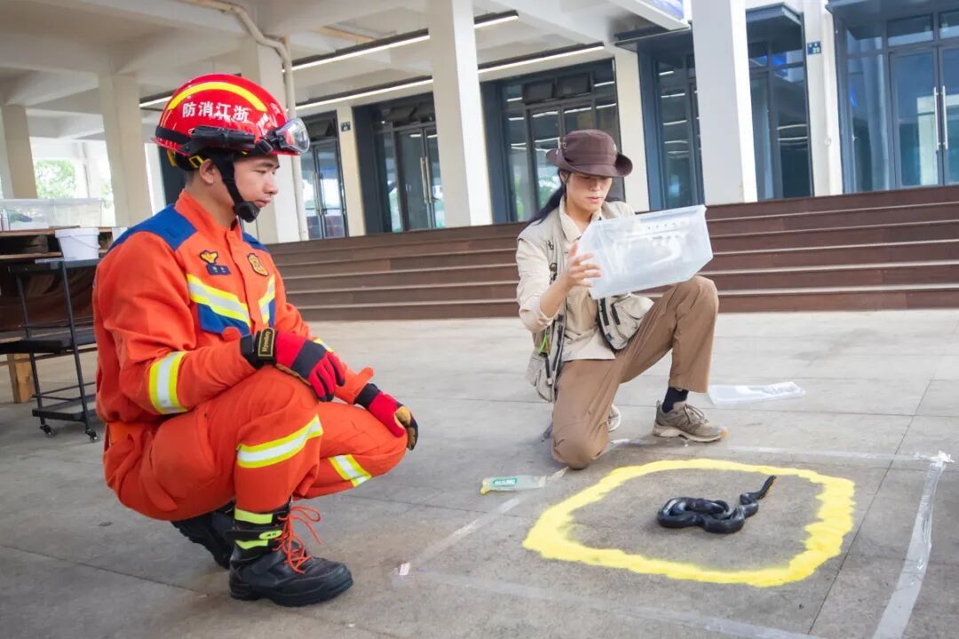 今年的蛇,更活跃了!狭路相逢怎么办? 今年的蛇,更活跃了!狭路相逢怎么办?
