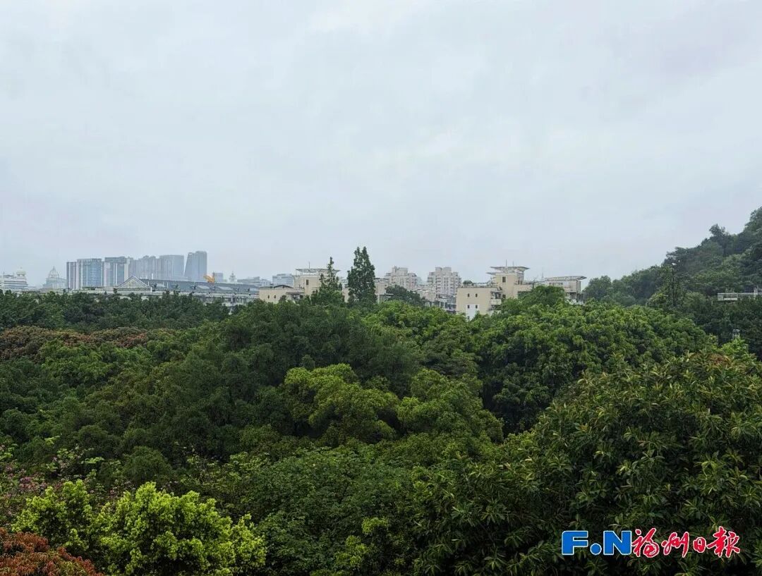 15.1℃!“怎么这么冷!”大雨暴雨已抵达福建! 15.1℃!“怎么这么冷!”大雨暴雨已抵达福建!