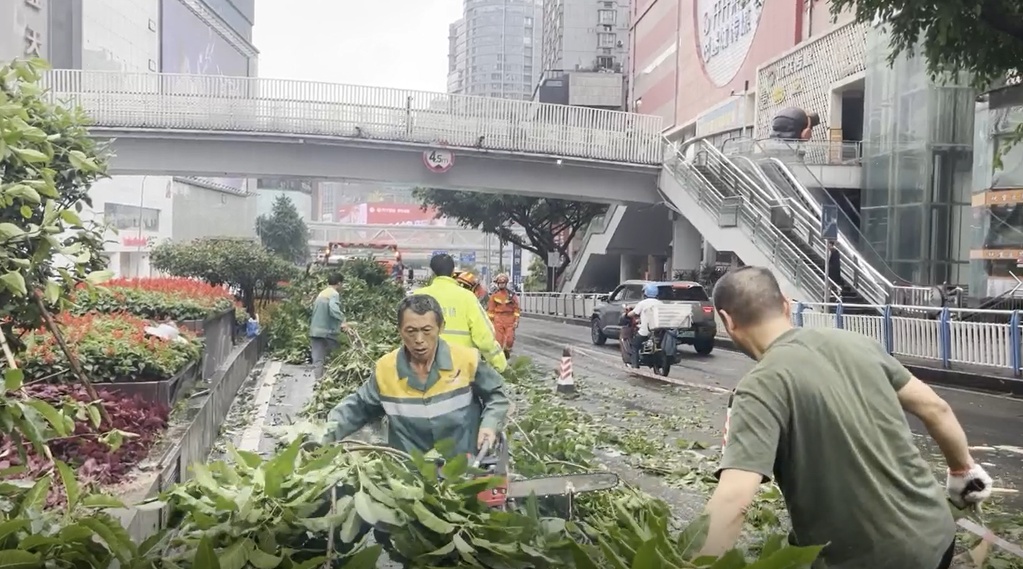 重庆城市管理部门快速清理倒伏树木,本轮强降雨应对工作有序收尾 重庆城市管理部门快速清理倒伏树木,本轮强降雨应对工作有序收尾