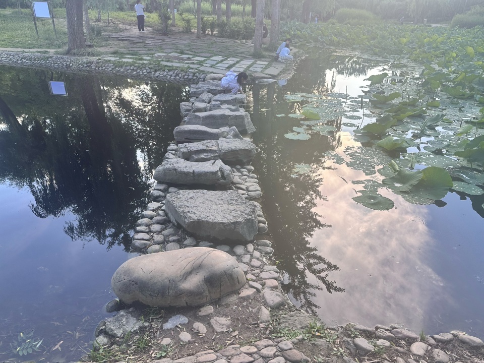 石家庄一对母女公园赏荷双双落水,带娃的大汉救起两人:“我一米八,能踩到水底” 石家庄一对母女公园赏荷双双落水,带娃的大汉救起两人:“我一米八,能踩到水底”