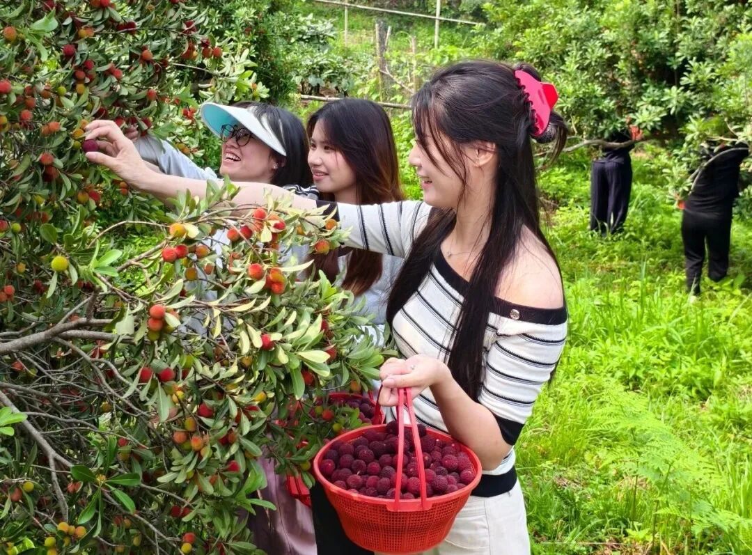 正在大量上市!南京人好的这口,进入最佳品尝期 正在大量上市!南京人好的这口,进入最佳品尝期