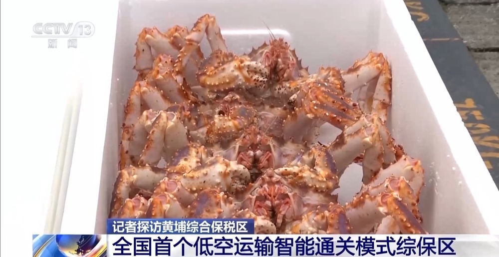 无人机“空运”通关 黄埔综保区跑出外贸加速度 无人机“空运”通关 黄埔综保区跑出外贸加速度