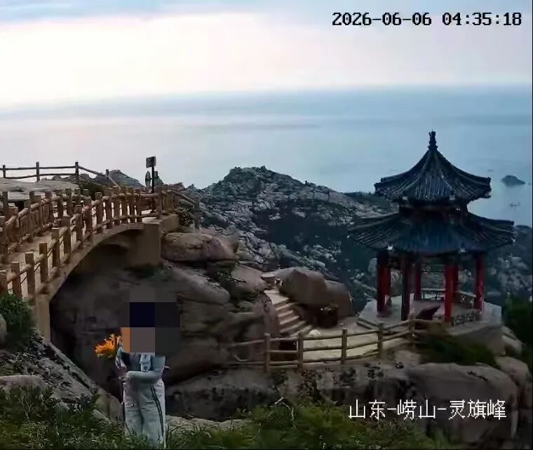 游客凌晨在青岛崂山采摘珍稀百合?景区回应 游客凌晨在青岛崂山采摘珍稀百合?景区回应