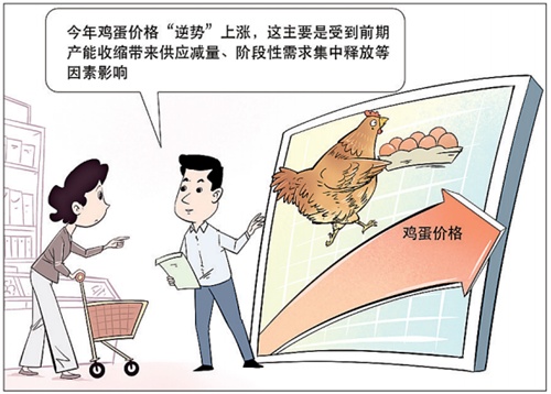 “鸡蛋价格居然涨了这么多!” 突破季节性规律,今年蛋价为啥“逆势”上涨? “鸡蛋价格居然涨了这么多!” 突破季节性规律,今年蛋价为啥“逆势”上涨?
