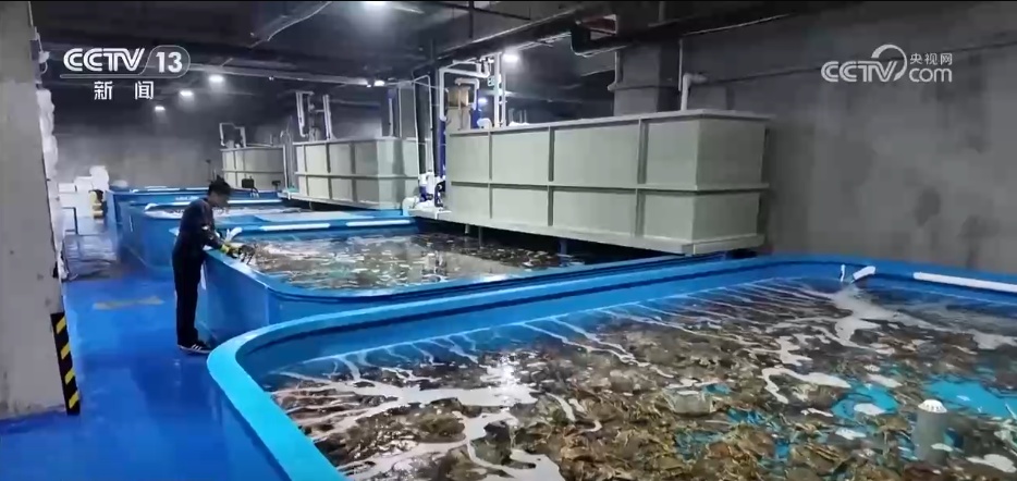 低空“新速度”叠加通关“高效率” 黄埔综保区这样成为外贸“急先锋” 低空“新速度”叠加通关“高效率” 黄埔综保区这样成为外贸“急先锋”
