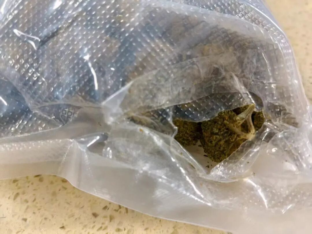 别想蒙混过关!婴儿毛毯夹带大麻973.6克被查获 别想蒙混过关!婴儿毛毯夹带大麻973.6克被查获