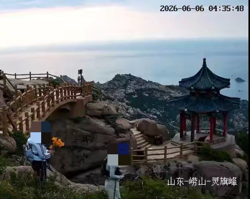 游客凌晨在青岛崂山采摘珍稀百合?景区回应:采的是黄花菜,游客已接受批评教育 游客凌晨在青岛崂山采摘珍稀百合?景区回应:采的是黄花菜,游客已接受批评教育