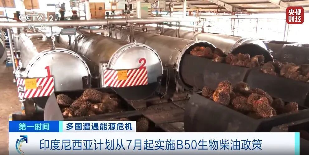 中东冲突持续，油箱正“抢”走餐桌的油