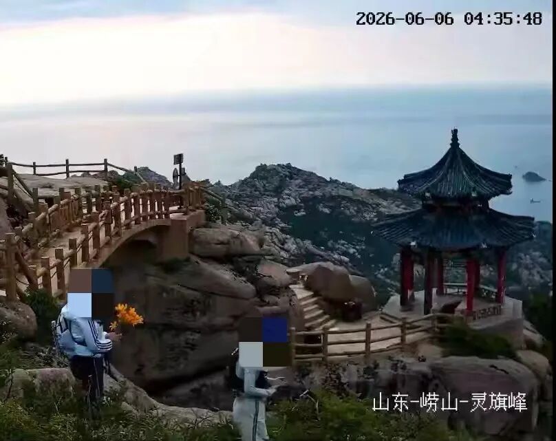 游客凌晨在青岛崂山采摘珍稀百合?景区回应 游客凌晨在青岛崂山采摘珍稀百合?景区回应