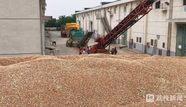 江苏夏粮收购工作全面铺开 江苏夏粮收购工作全面铺开