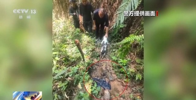 千人进山、警犬追踪 多方合力搜寻13天找到失联男童 千人进山、警犬追踪 多方合力搜寻13天找到失联男童