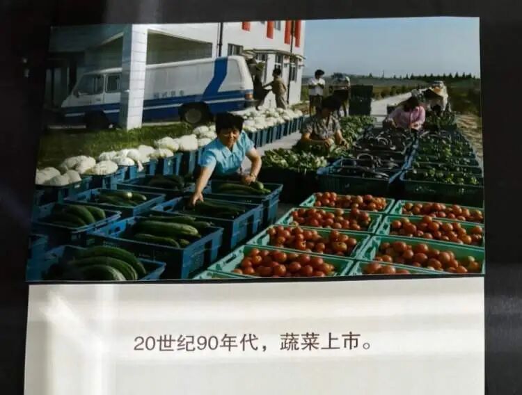 申花夺冠老照片、源深体育中心规划构想图……上海新公布两批次开放档案,多达16万余件 申花夺冠老照片、源深体育中心规划构想图……上海新公布两批次开放档案,多达16万余件