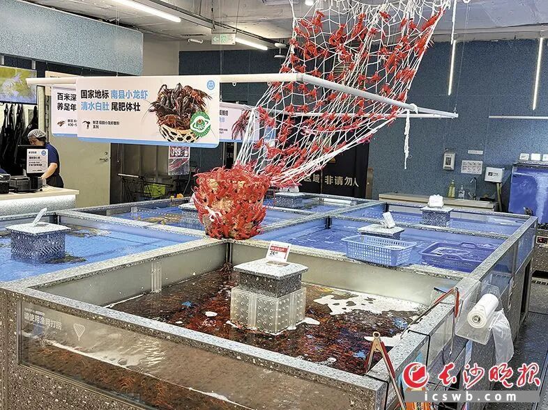 长沙小龙虾大降价! 长沙小龙虾大降价!