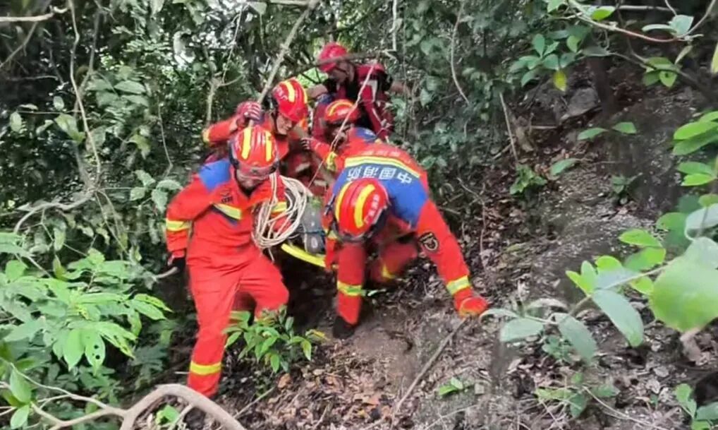 游客在山崖下捡到手机,抬头一看:失主正挂在半山腰的树上...... 游客在山崖下捡到手机,抬头一看:失主正挂在半山腰的树上......