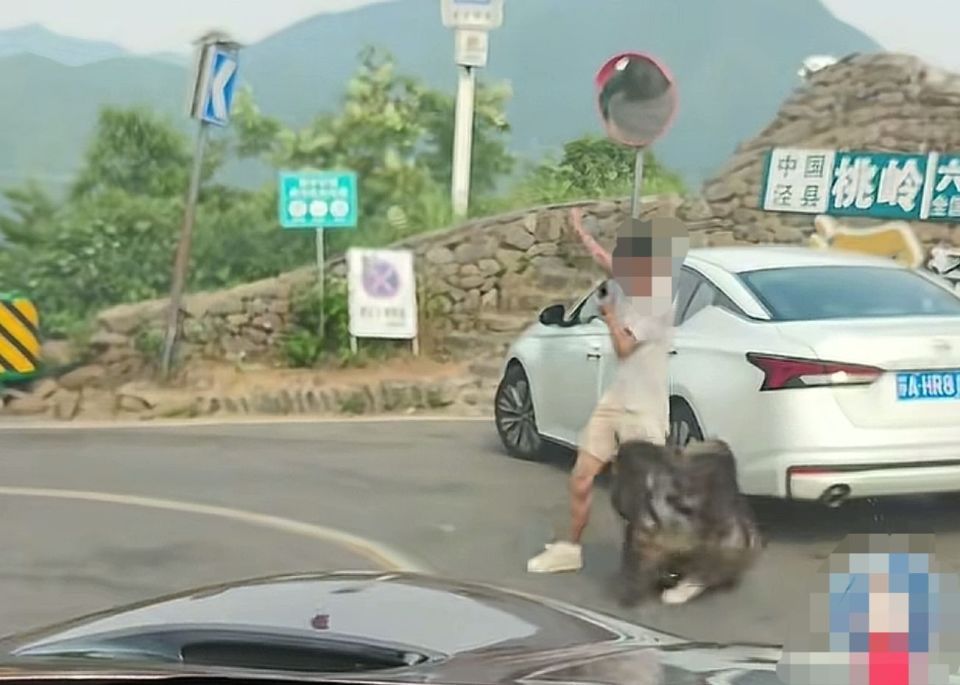 皖南川藏线六道湾猴子攻击游客?当地:夏季涉猴投诉增多,建议不要投喂食物,快速通过 皖南川藏线六道湾猴子攻击游客?当地:夏季涉猴投诉增多,建议不要投喂食物,快速通过