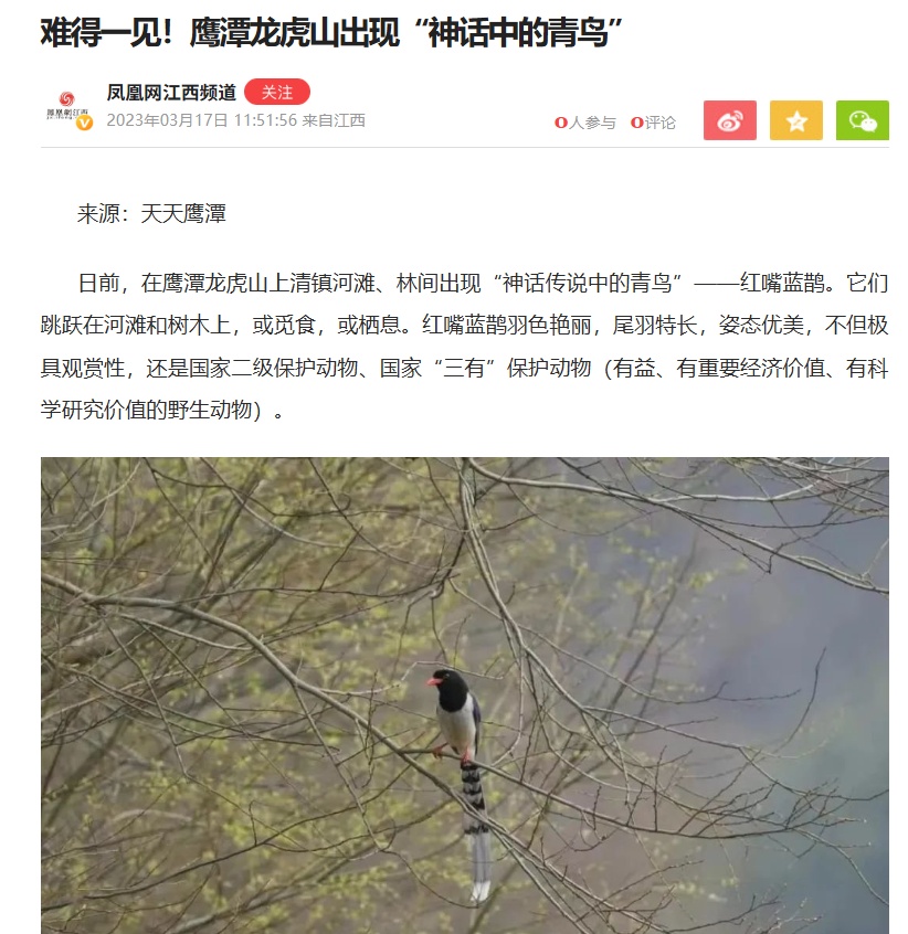 杭州一小区惊现“愤怒的小鸟”,十多位业主被攻击! 杭州一小区惊现“愤怒的小鸟”,十多位业主被攻击!