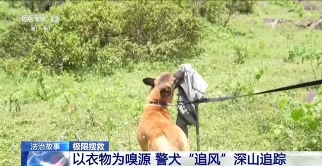千人进山、警犬追踪 多方合力搜寻13天找到失联男童 千人进山、警犬追踪 多方合力搜寻13天找到失联男童