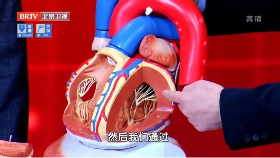 心跳超过这个数,极易猝死,身体4个“求救”信号,可别再当累扛过去了 心跳超过这个数,极易猝死,身体4个“求救”信号,可别再当累扛过去了