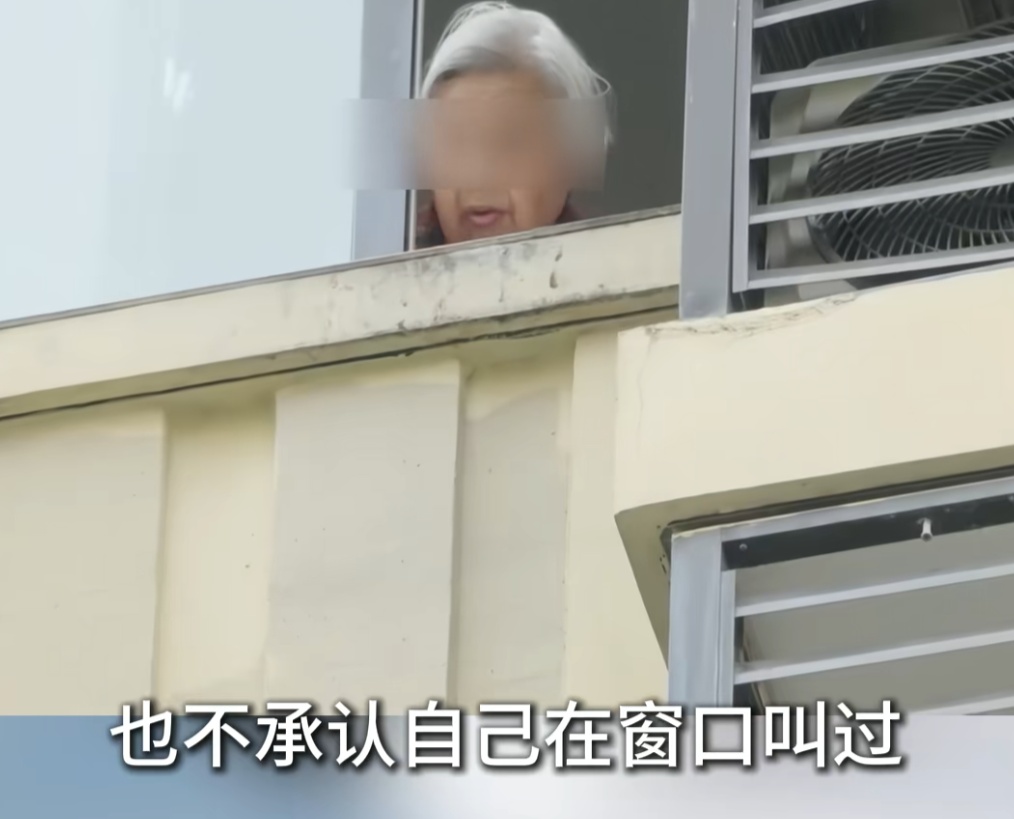 86岁老人多日凌晨在窗口喊叫,邻居崩溃!4个子女仅靠摄像头“云尽孝”? 86岁老人多日凌晨在窗口喊叫,邻居崩溃!4个子女仅靠摄像头“云尽孝”?