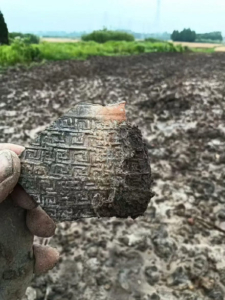 江苏丹阳一村庄现大量陶片，疑似商周古文化遗址？当地回应：待勘察，已进行保护